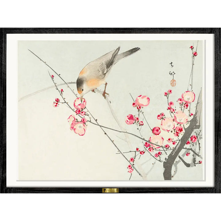 Blossoms of Tranquility