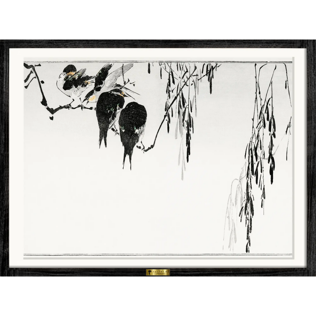 Monochrome Medley