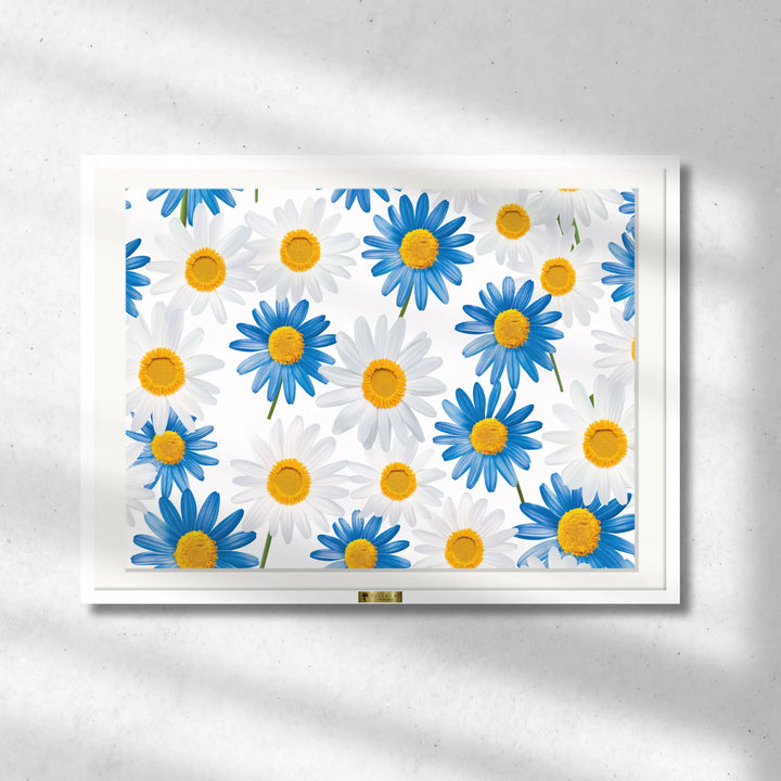 Oceanic Daisies