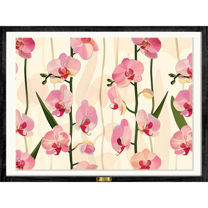 Blush Orchids