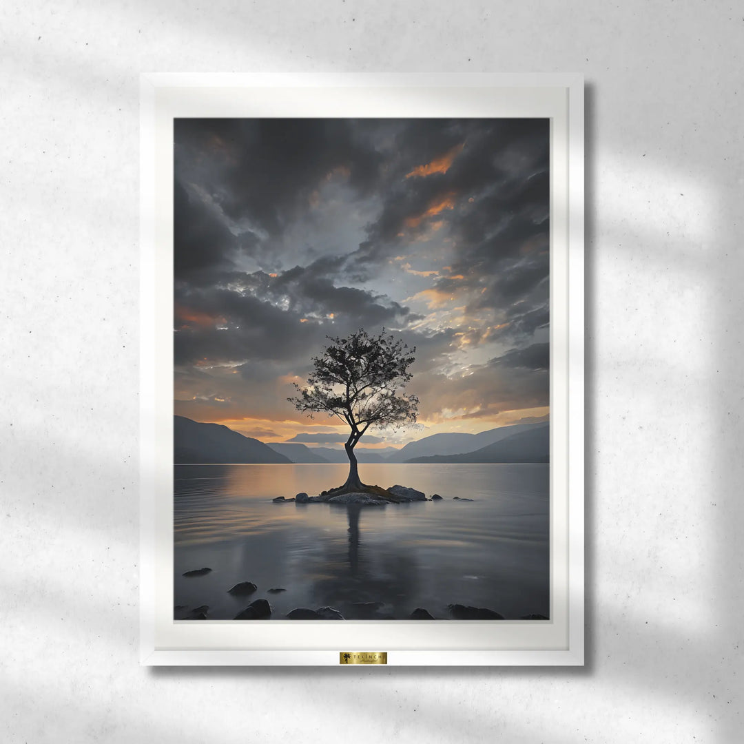 Tranquil Reflections - Telinchi