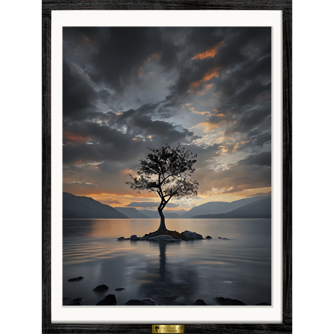 Tranquil Reflections - Telinchi