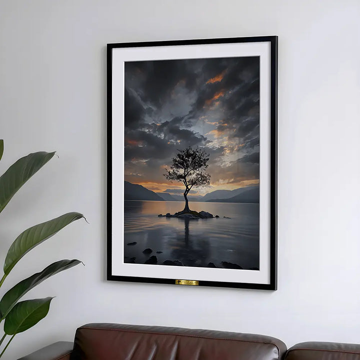 Tranquil Reflections