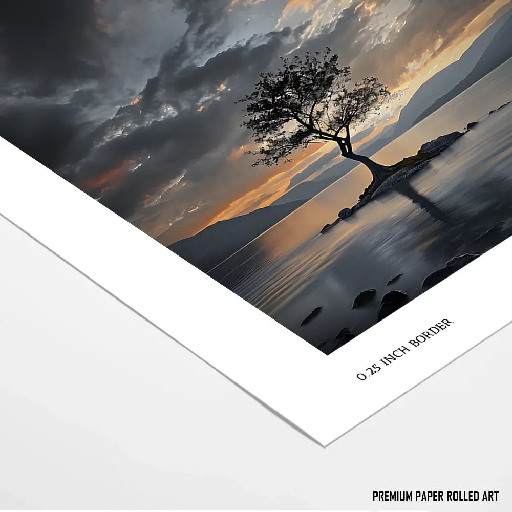 Tranquil Reflections