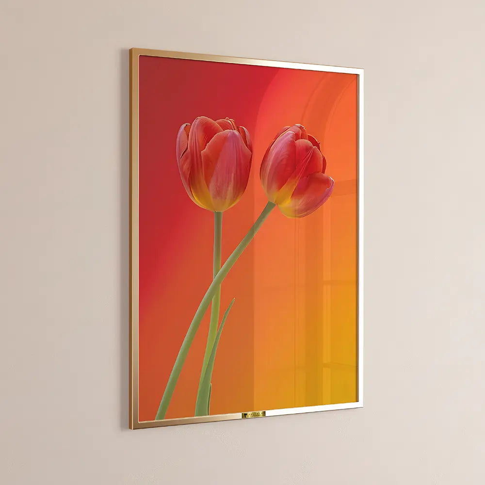 Blazing Tulips - Telinchi