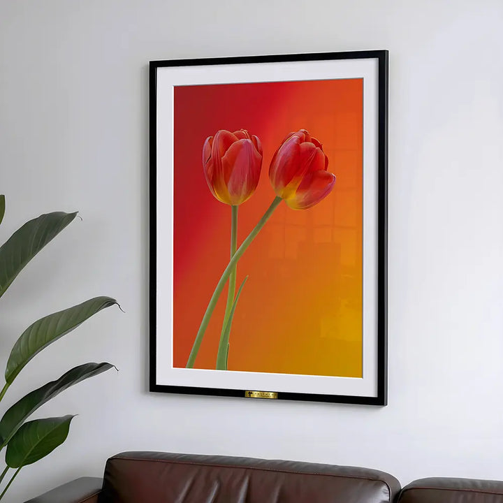 Blazing Tulips - Telinchi