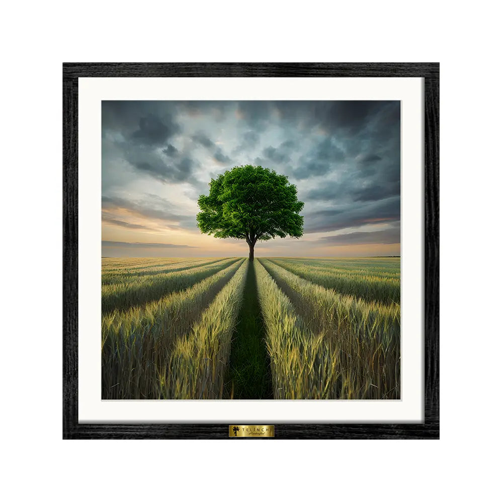 Golden Field Symphony