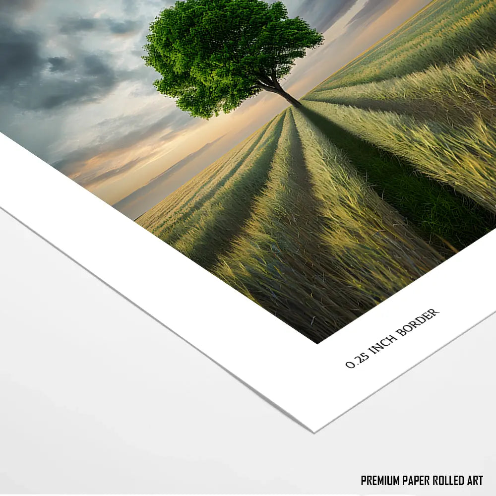 Golden Field Symphony