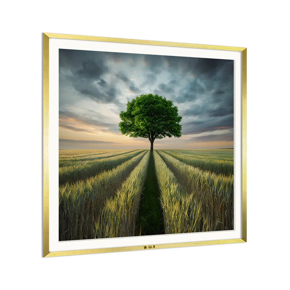 Golden Field Symphony