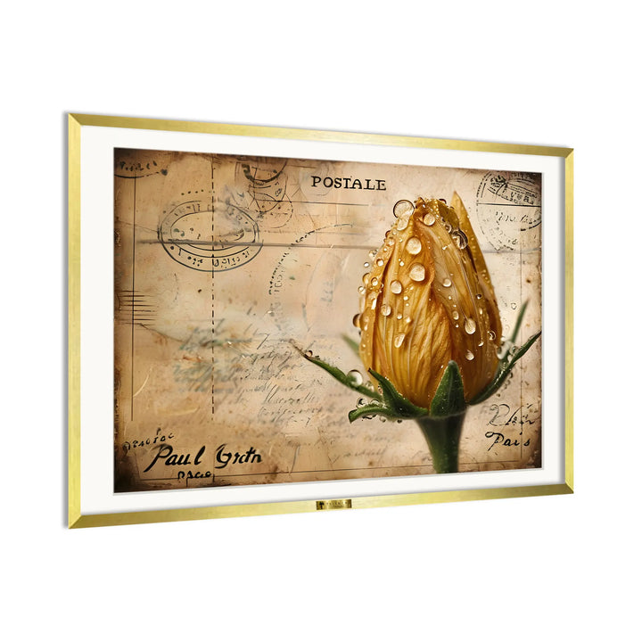 Postcard Bloom