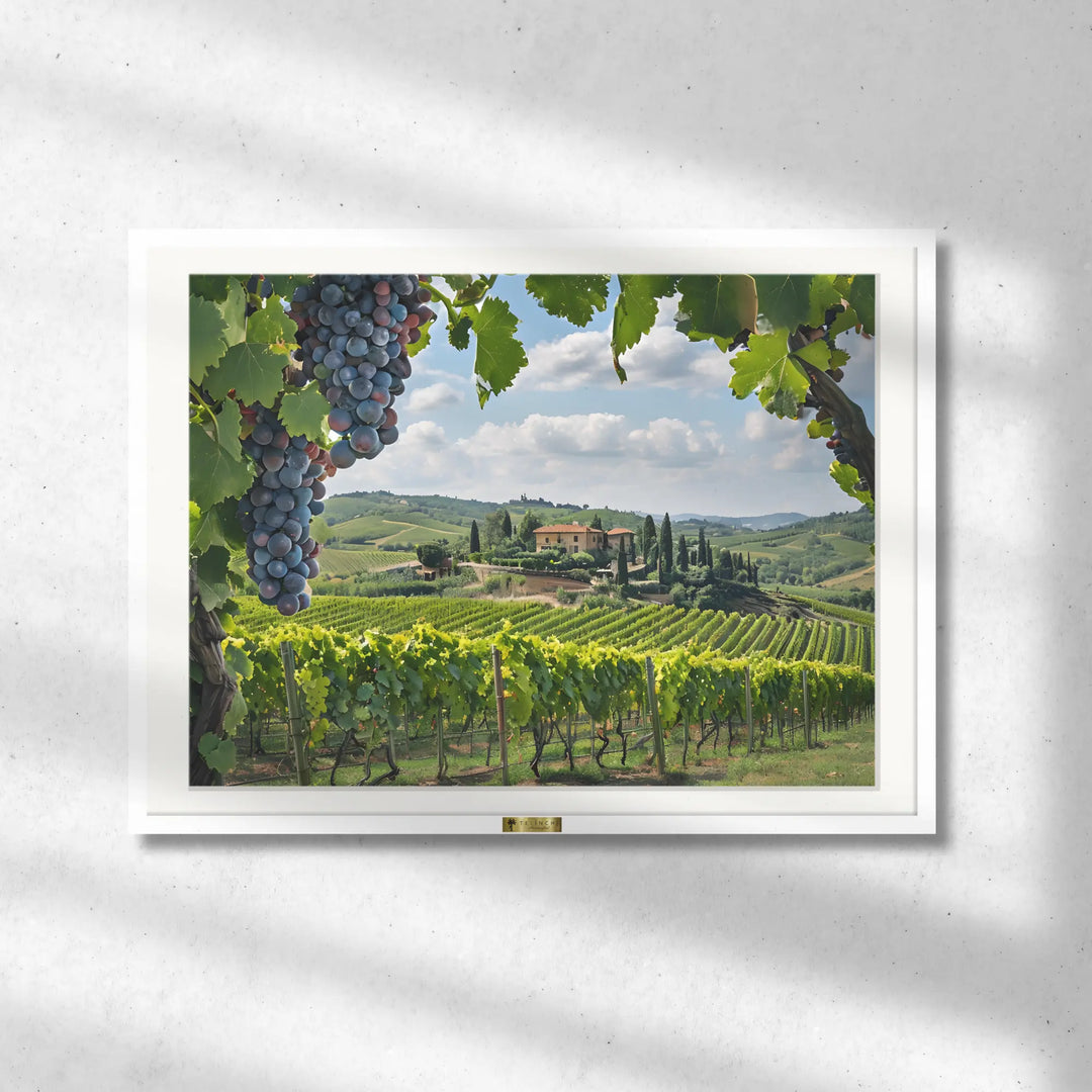Vineyard Bliss