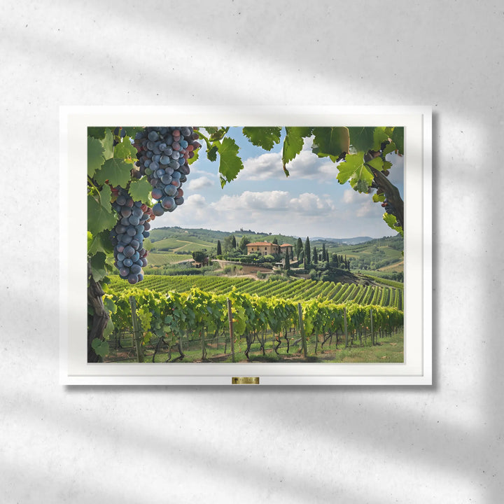 Vineyard Bliss