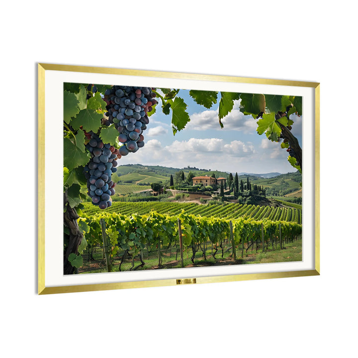 Vineyard Bliss