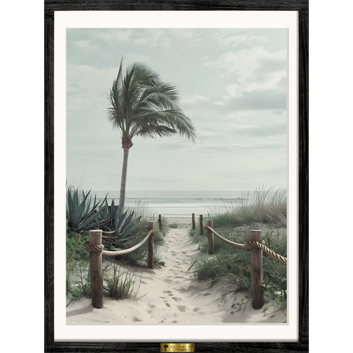 Serene Beach Path - Telinchi