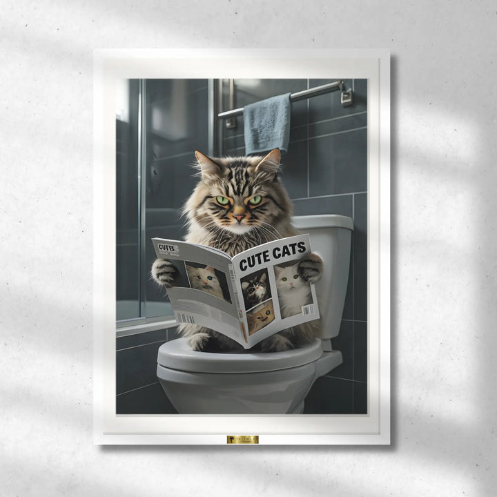 Cat Chronicles