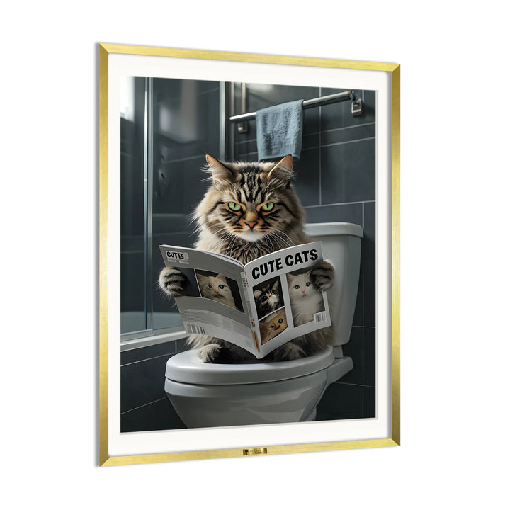 Cat Chronicles