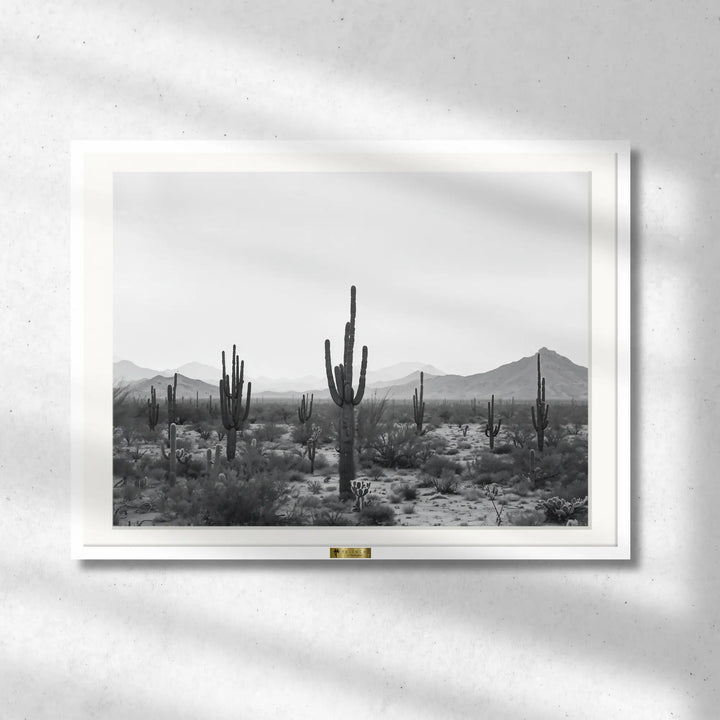 Cactus Symphony