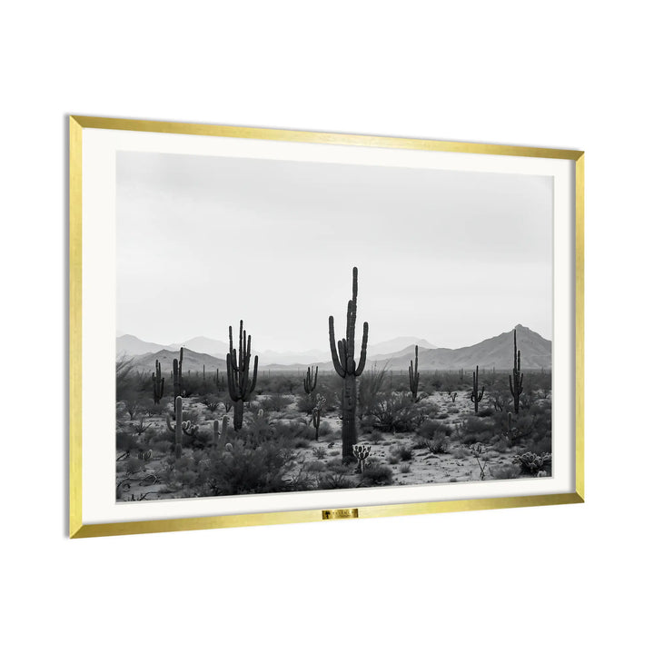 Cactus Symphony