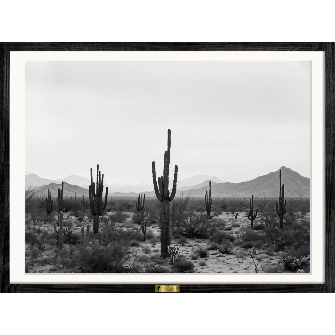 Cactus Symphony