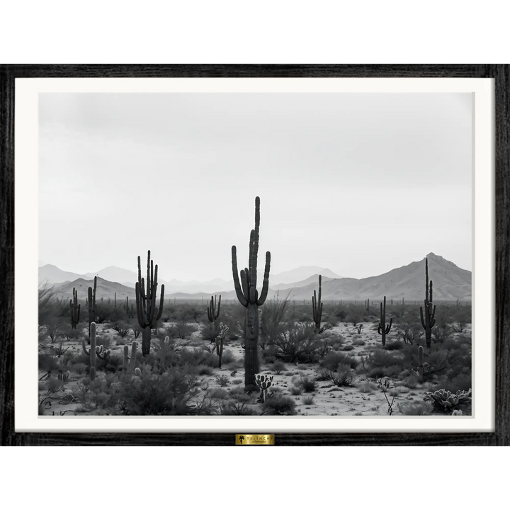 Cactus Symphony