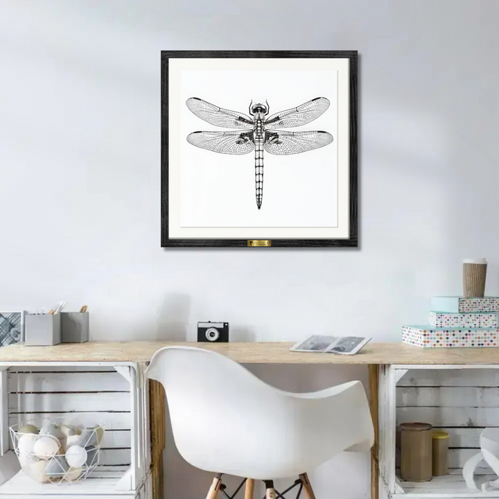 Dragonfly's Details