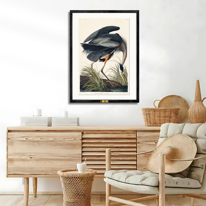Great Blue Heron in Focus
