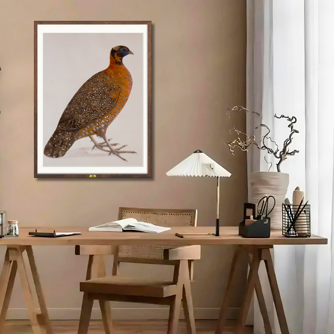 Feathered Marvel
