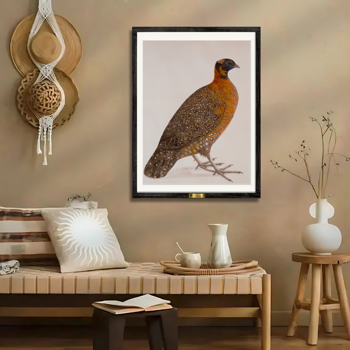 Feathered Marvel