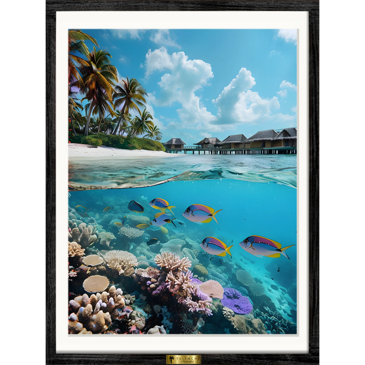 Underwater Paradise