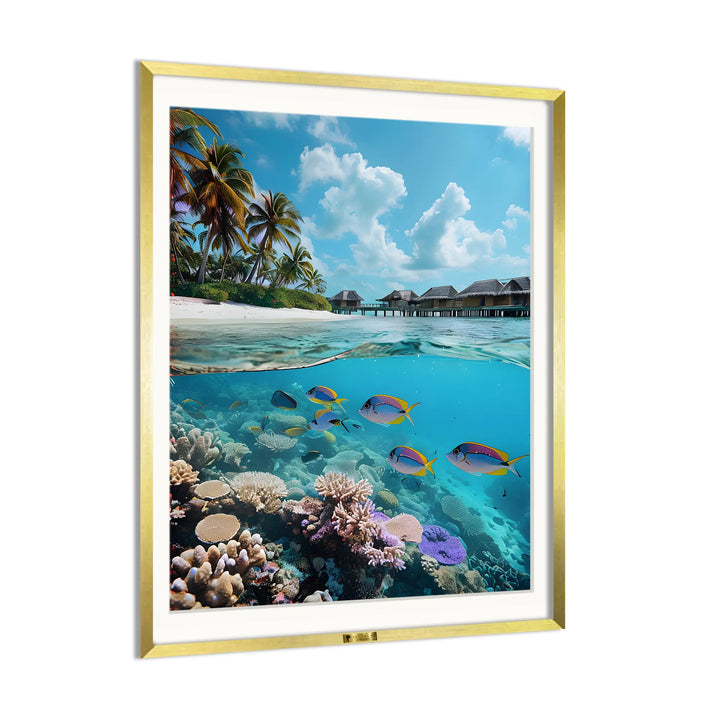 Underwater Paradise