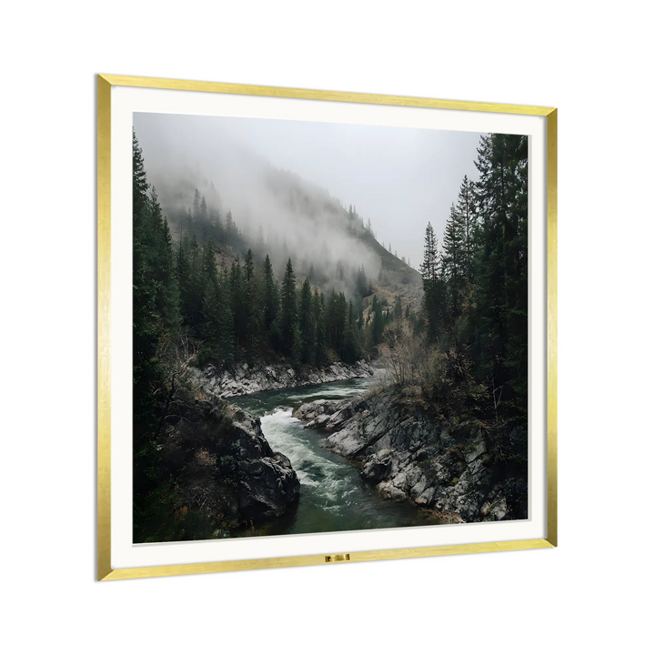 Misty Woods