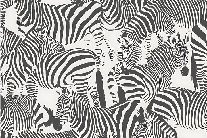 Monochrome Zebra Parade