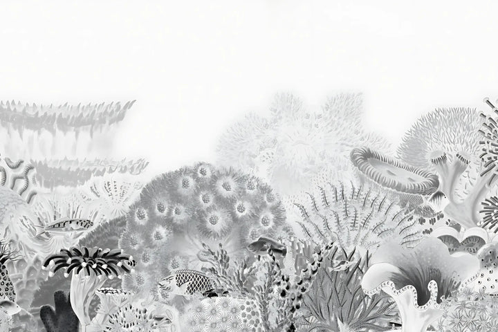 Coral Symphony