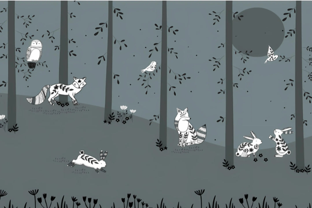 Nighttime Forest Tales