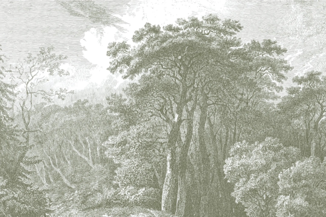Vintage Woodland
