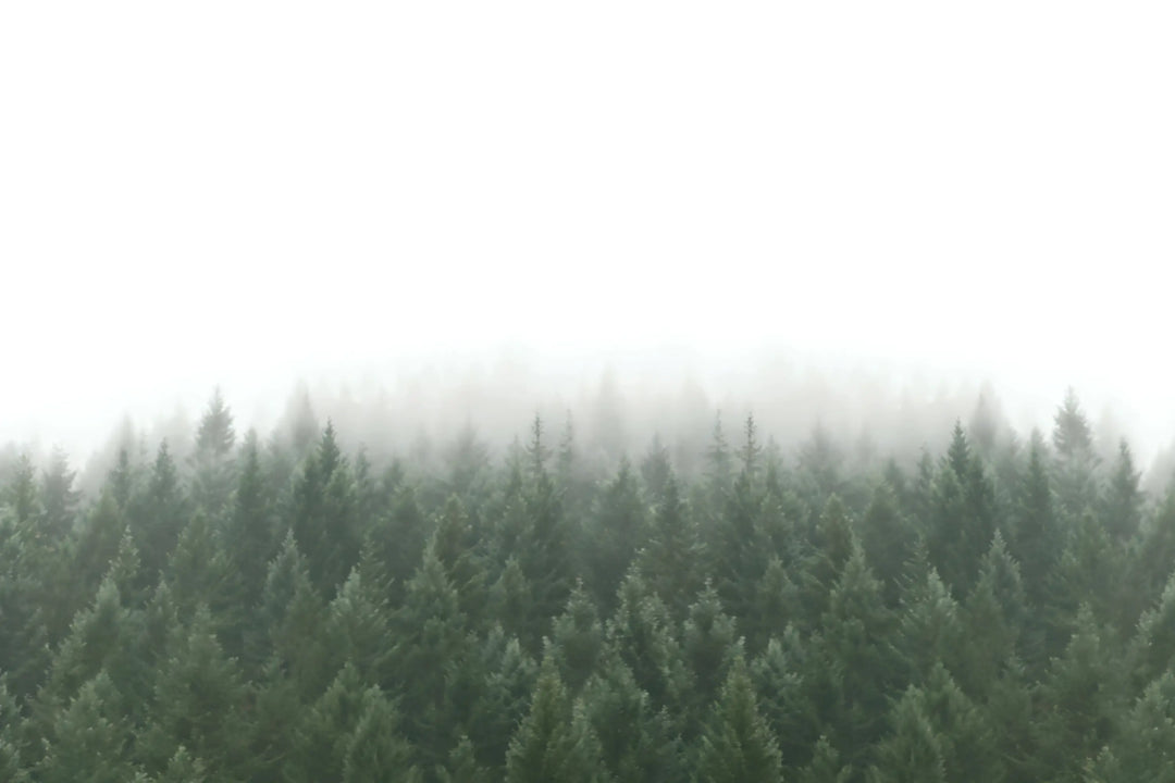 Whispering Pines