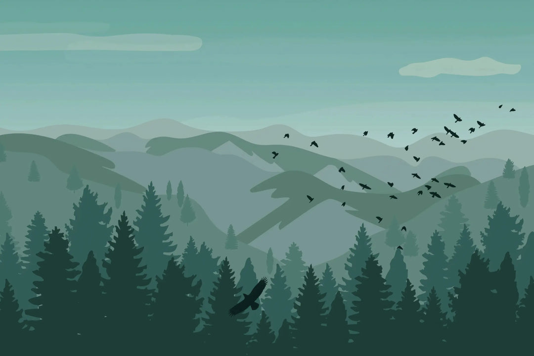 Wings of Solitude