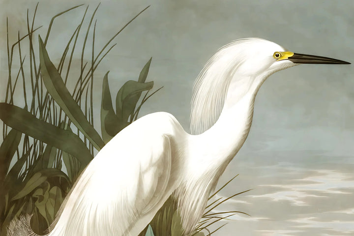 Timeless Heron