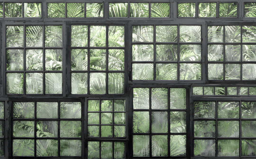 Urban Jungle View