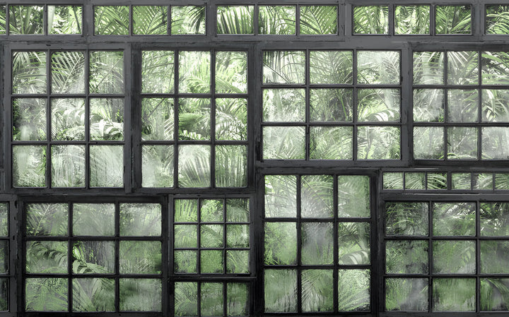 Urban Jungle View