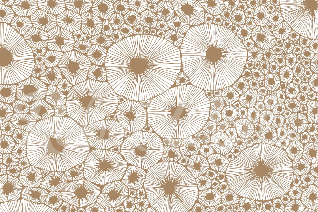 Sunburst Circles