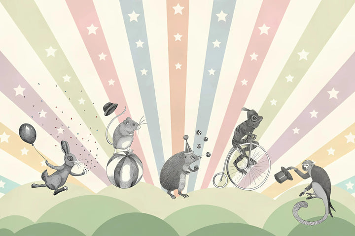 Circus of Dreams