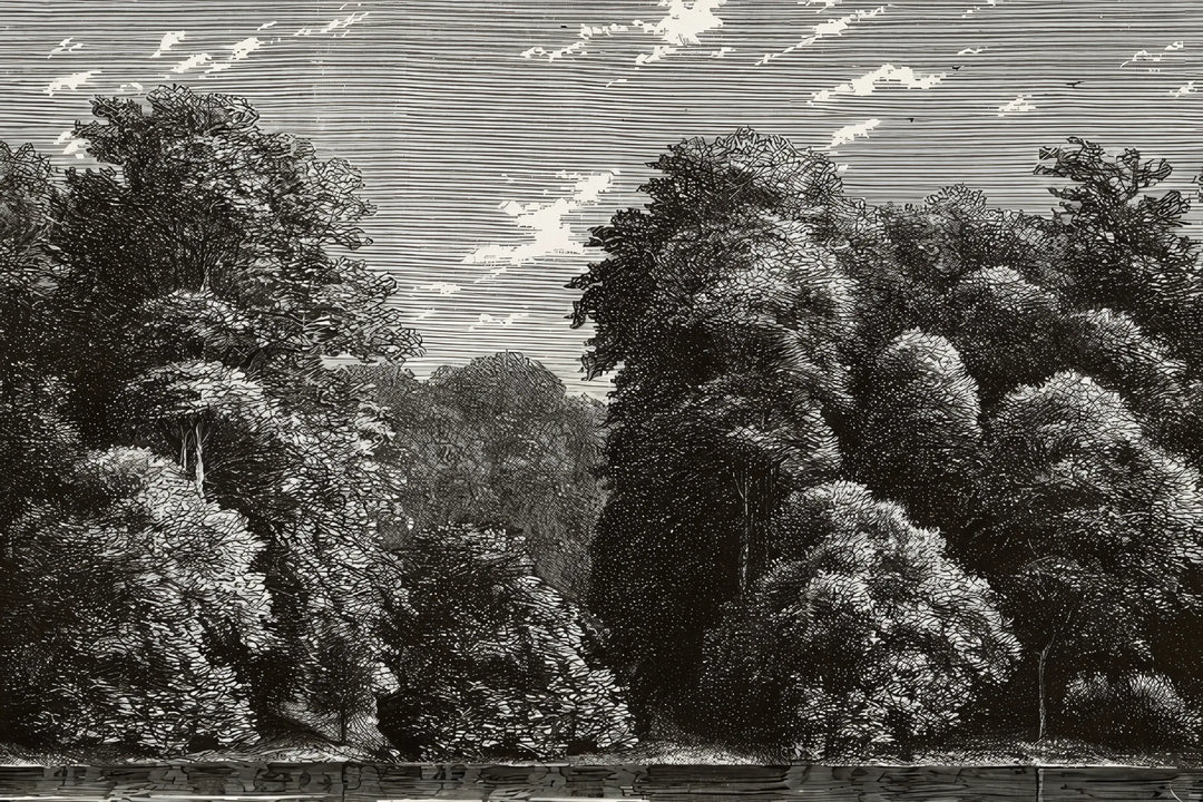 Vintage Forest Etching