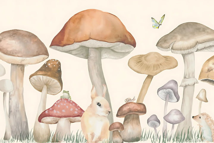 Mushroom Meadow
