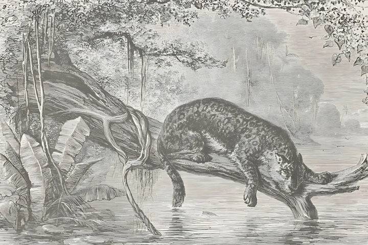 Timeless Wilds