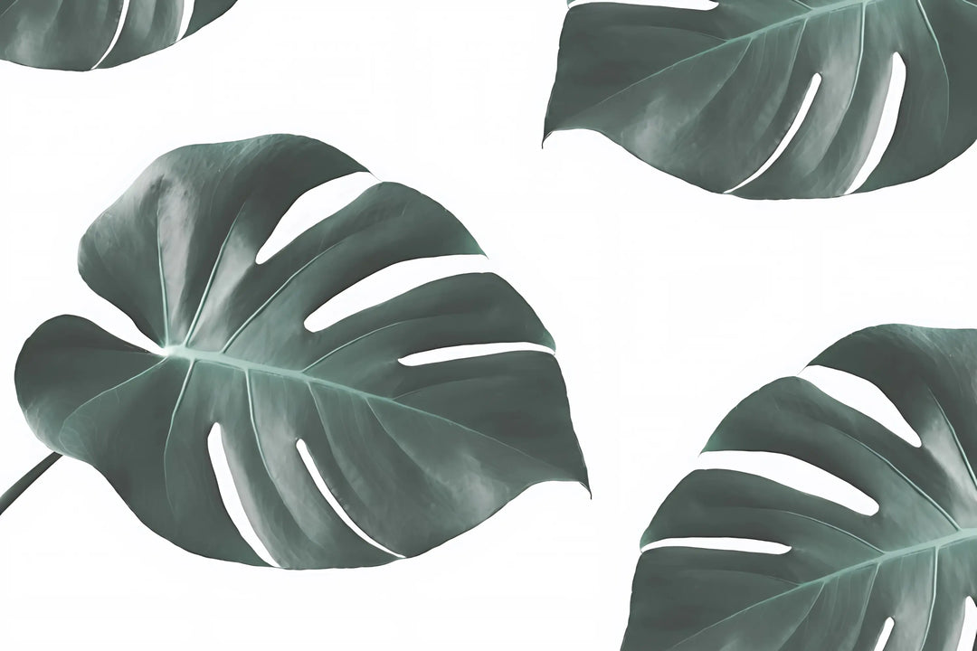 Tropical Essence