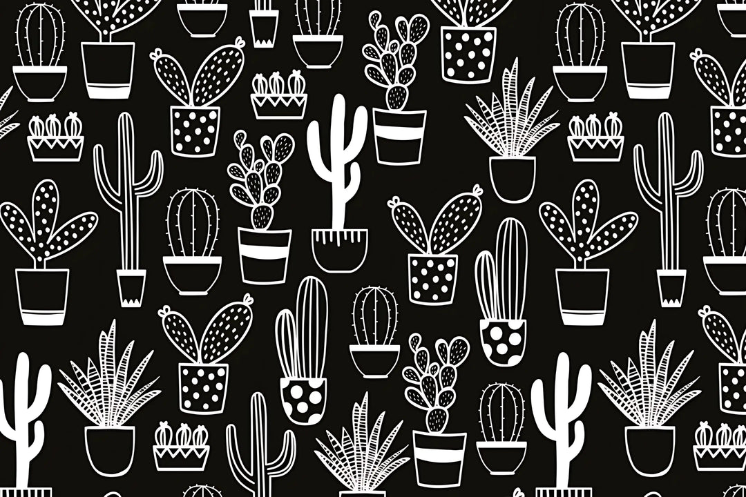 Desert Cactus Fun