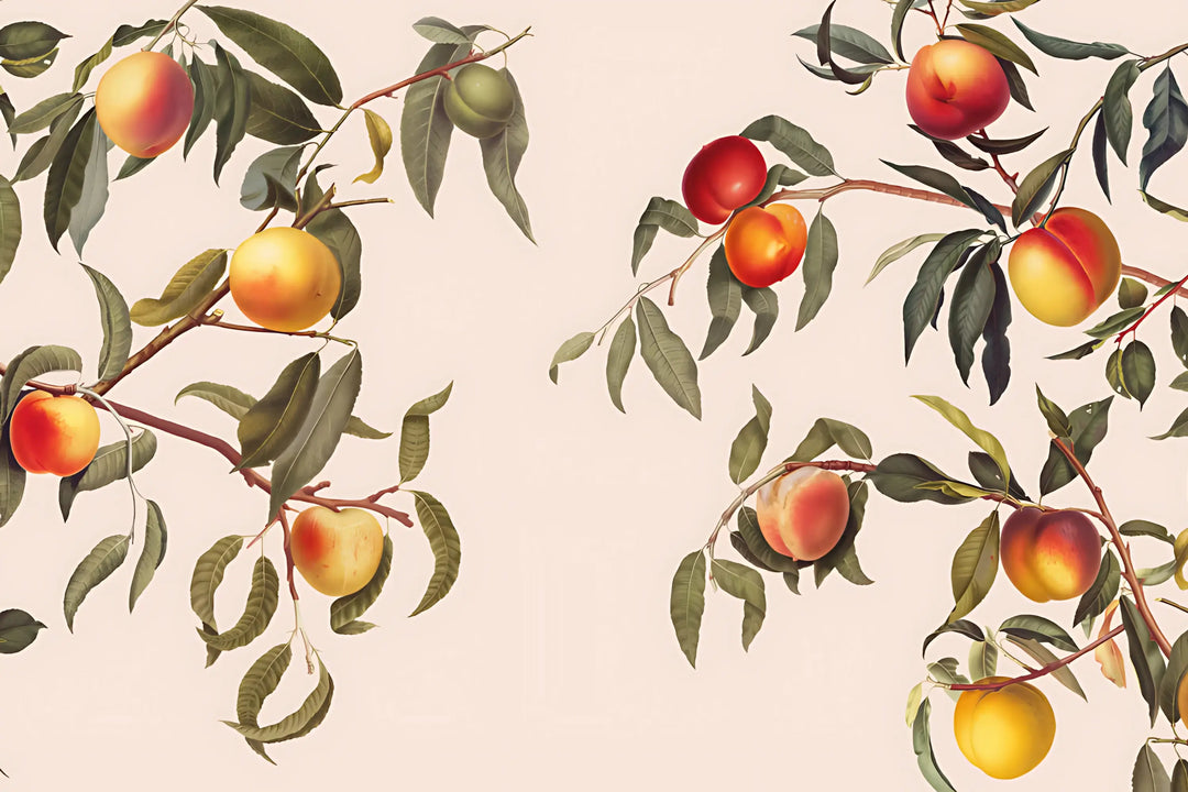 Peach Grove