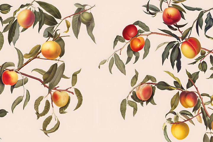 Peach Grove